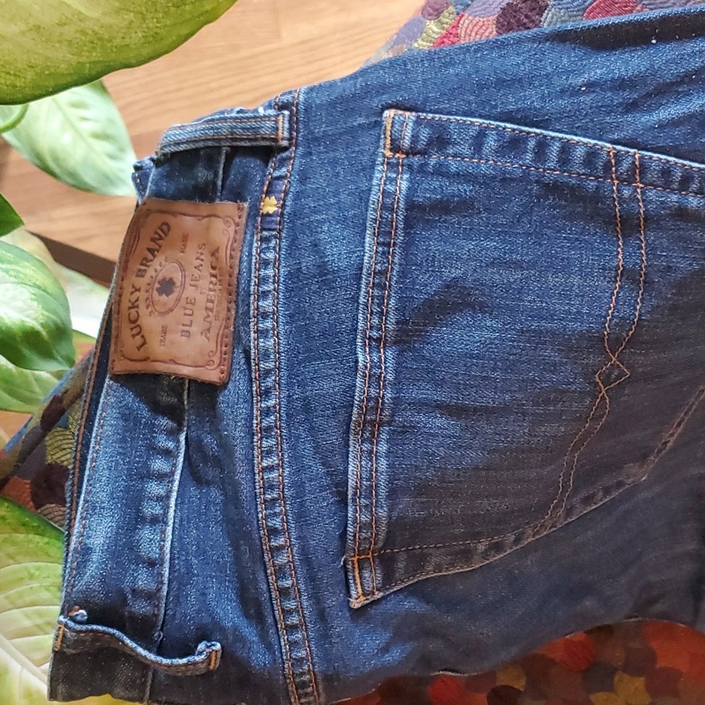 Vintage Lucky Brand 221 Original Straight cut jeans